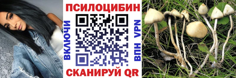 mega онион  Бавлы  Псилоцибиновые грибы Cubensis 